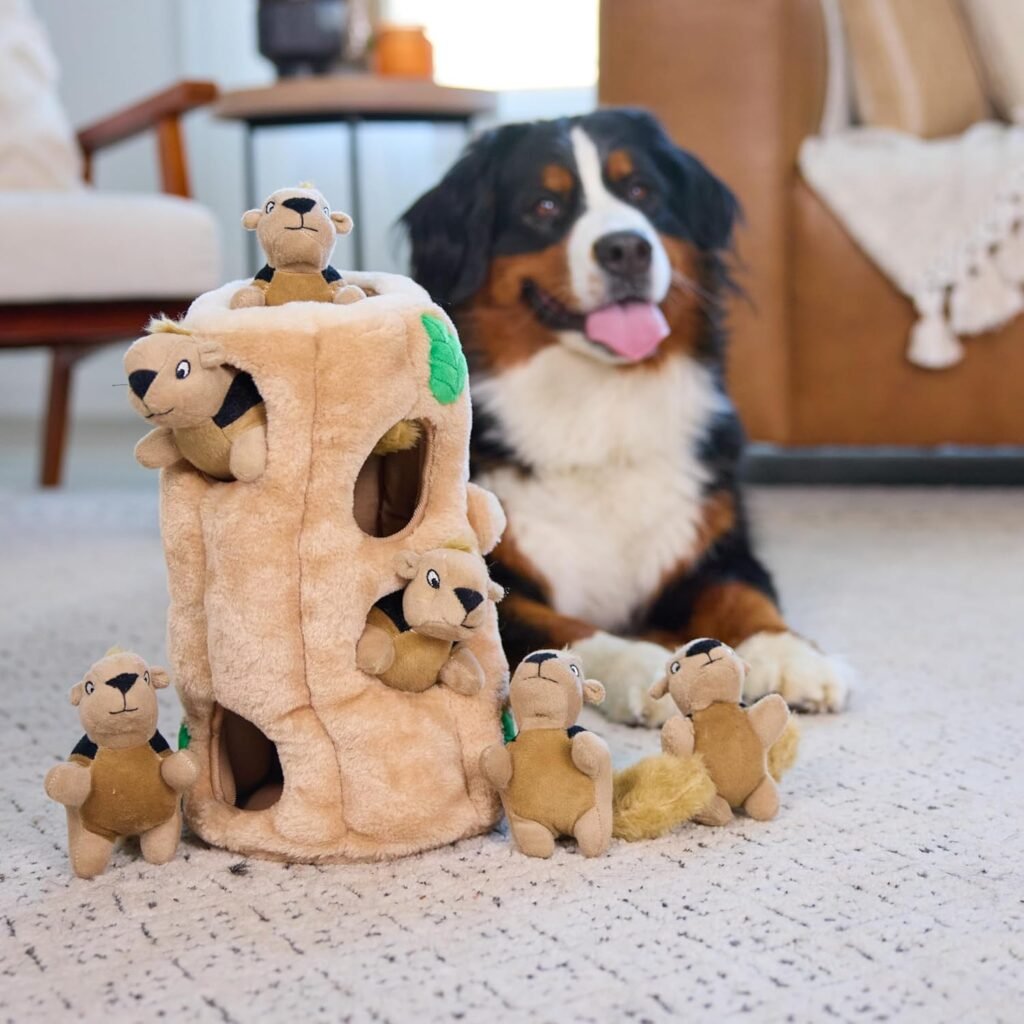 Ultimate Squirrel Puzzle Toy Review – Powerful Interactive Dog Enrichment 1 6 26 HomieReviews