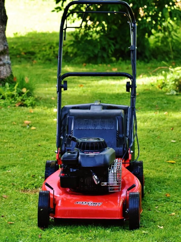 lawn-mower-1593890 lawn-mower-1593890